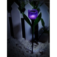 USL-C-453/PT305 PURPLE TULIP Садовый светильник на солнечной батарее `Лиловый тюльпан`. Белый свет. 1*LR аккумулятор в/к. IP44. TM Uniel.