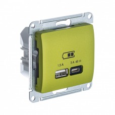 GLOSSA USB РОЗЕТКА А + тип-С 45Вт высокоскор.заряд. QC, PD, механизм, ФИСТАШКОВЫЙ
