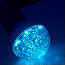 Лампа шар e27 10 LED d50мм синяя 24В (постоянное напряжение)